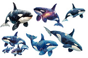 Watercolor Orca Clipart, an Illustration by Designworld (Thumbnail 5 of 6)