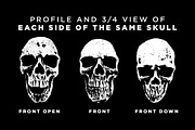SKULLS, an Illustration by 1126artstudio (Thumbnail 2 of 4)