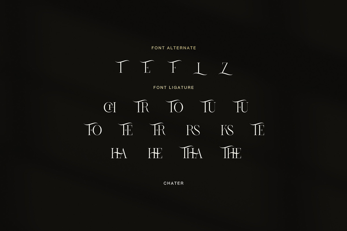 Chater Elegant Luxury Serif Font, a Serif Font by Graphicxell (Photo 8 of 8)