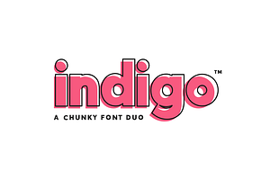 Indigo Sans Serif (Font Duo), a Sans Serif Font by Salt & Pepper Designs