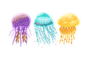 Different jellyfish, sea animals set, an Animal Illustration by Good Studio (Thumbnail 4 of 6)