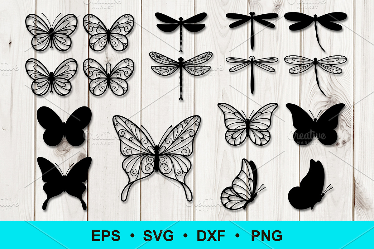 Butterfly and Dragonfly Clip Art, an Animal Illustration by Elena Nesterova (Photo 1 of 3)