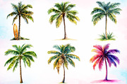 Watercolor Coconut Tree Clipart PNG, an Illustration by Canvas Craft (Thumbnail 4 of 4)