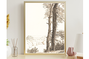 Vintage Tree Sketch PNG, a Decorative Illustration by Pink_bloom (Thumbnail 5 of 8)