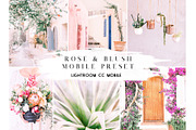 Rose & Blush Blogger Mobile Preset, an Action Add-On by Lux Light (Thumbnail 1 of 13)