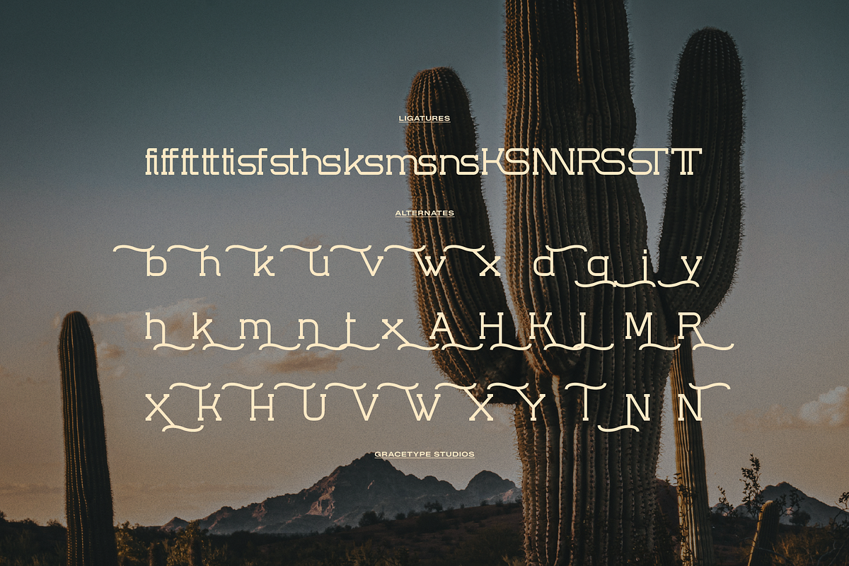 Rantona | Western Slab Serif, a Slab Serif Font by gracetype_studio (Photo 12 of 12)