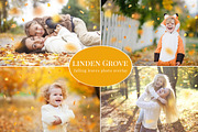 Linden Grove-falling leaves overlay, an Object Graphic by BrownLeopard (Thumbnail 1 of 4)