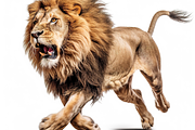 250+ Savannah Animals Photo Bundle, an Animal Photo by Virgo Studio (Thumbnail 6 of 6)