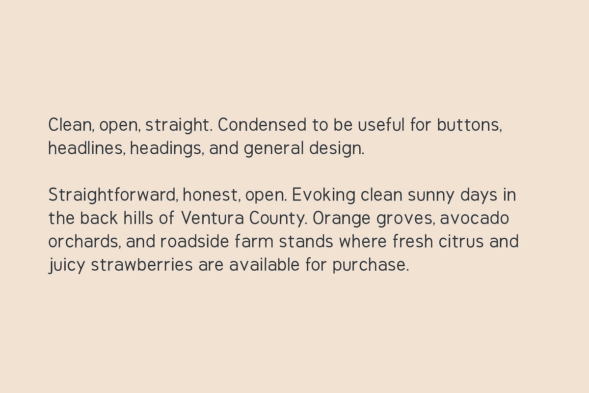 Ojai Sans, a Sans Serif Font by aleefont (Photo 3 of 3)