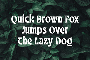 Klayfish Funky Serif