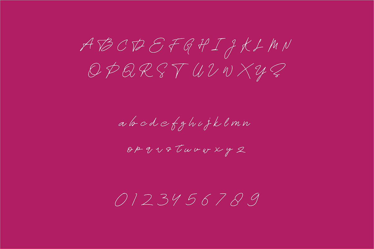 Rosa Signature typeface, a Script Font by WAP (Photo 4 of 6)