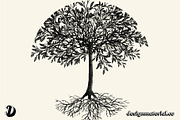 Leaf & Branch Brushes For Procreate, a Brush Add-On by Design Material Co. (Thumbnail 2 of 7)