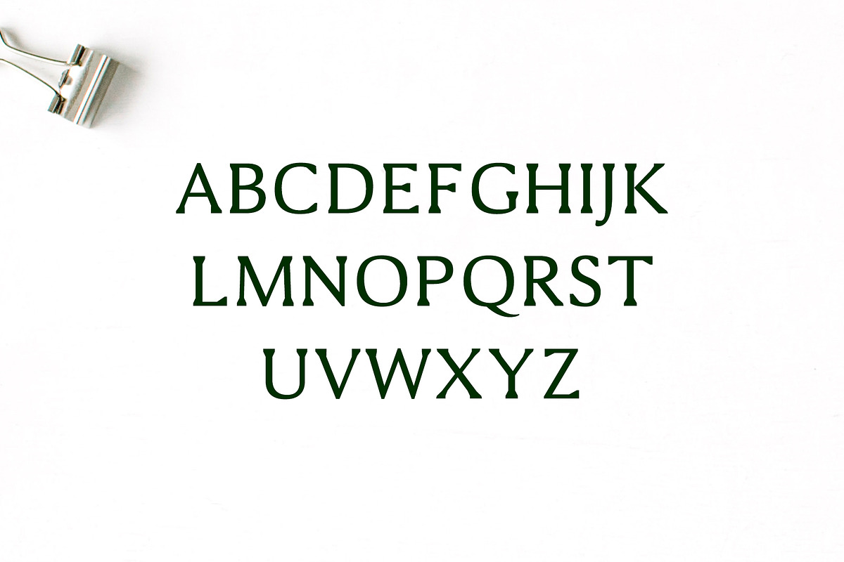 Shaaron A New Serif 2 Font Family preview 2