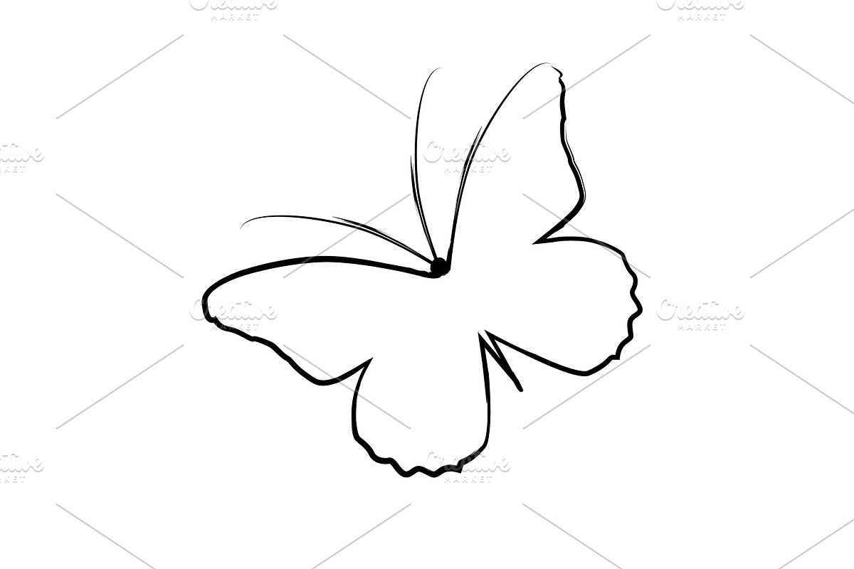 Butterfly with a brush line, an Animal Illustration by Nenahliadava Design