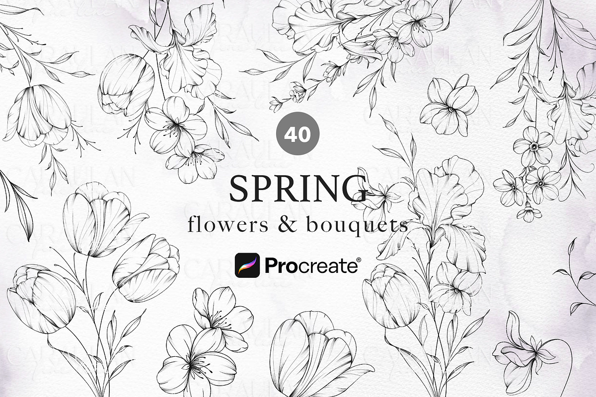 FineLine Floral Stamps for Procreate, a Brush Add-On by CaraulanStore (Photo 1 of 9)
