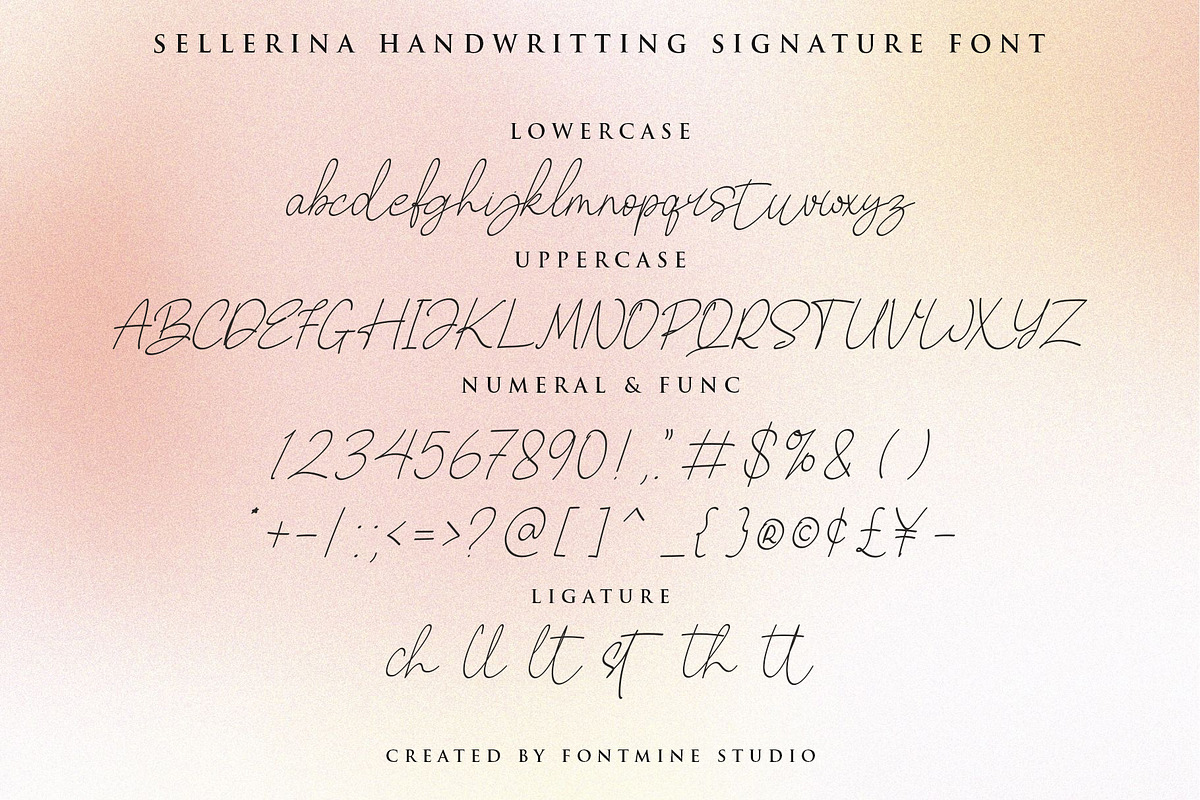 Sellerina - Handwritting Signature, a Script Font by Fontmine Studio (Photo 9 of 9)