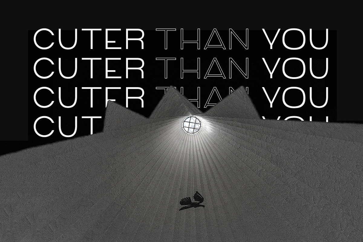 Mango Grotesque, a Sans Serif Font by Studio DC (Photo 7 of 10)
