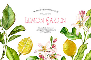 Lemon Garden Watercolor Fruits Set