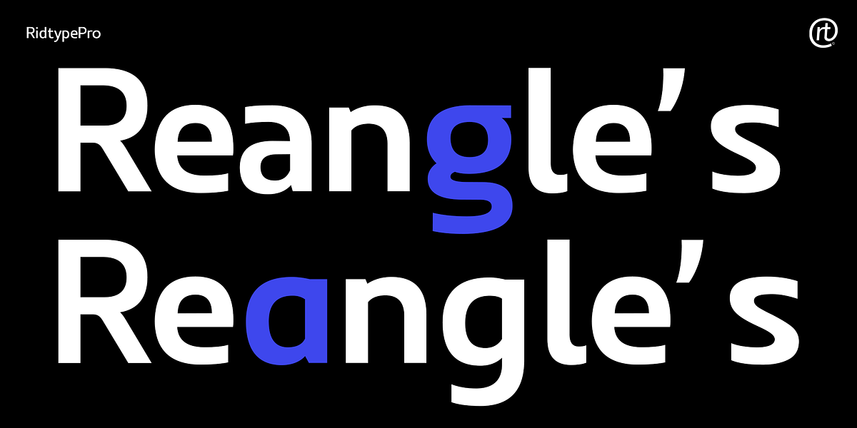 Ridtype Pro, a Sans Serif Font by Ridtype Foundry (Photo 9 of 12)