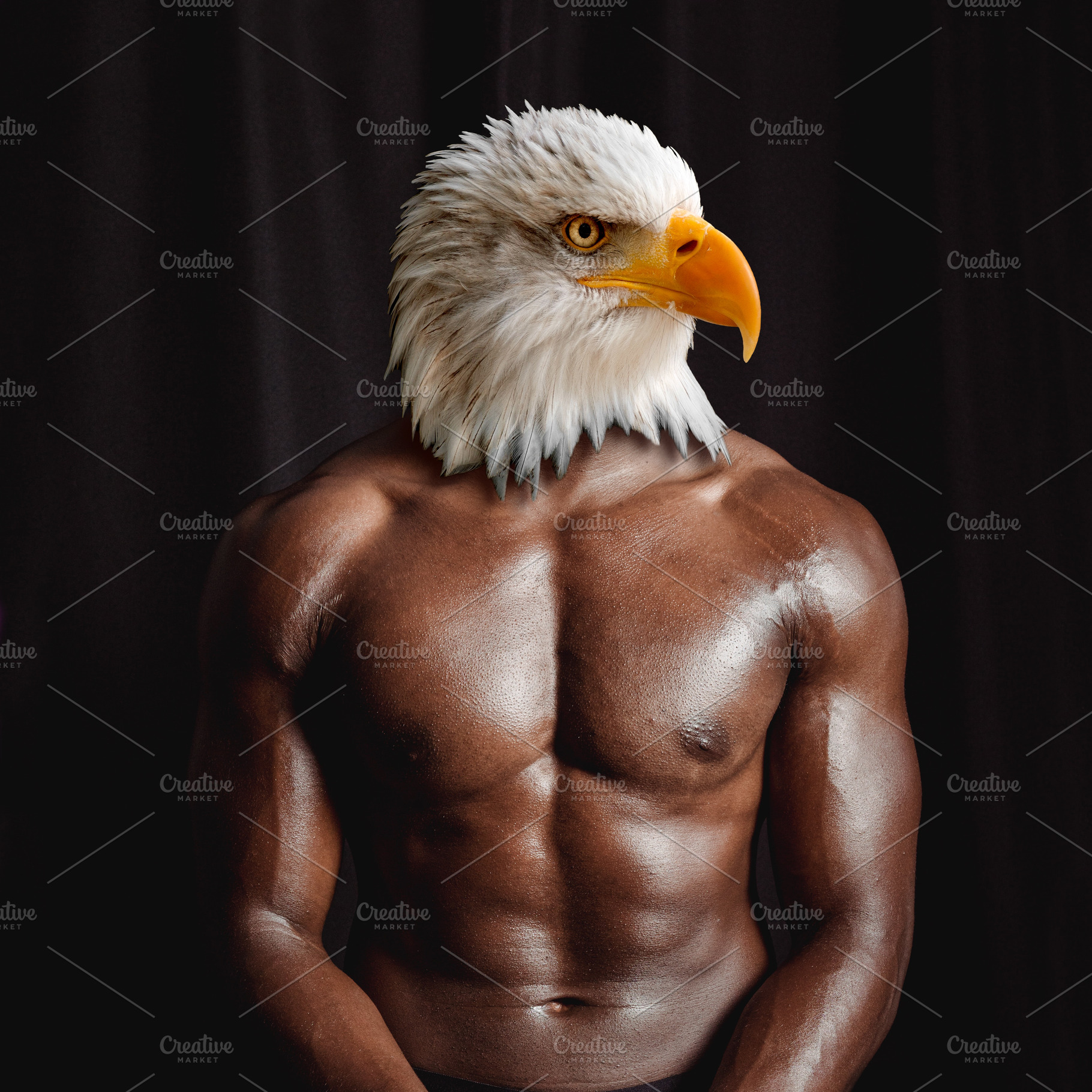 Funny man torso with eagle head, a Person Photo by BOOCYS