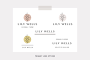 Modern Logo Template Canva, a Branding & Logo Template by Erin Cassidy (Thumbnail 2 of 10)