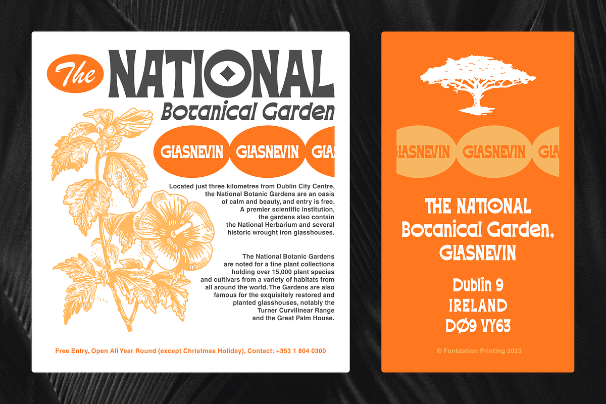 Abhartach | Funky Display, a Serif Font by Twicolabs Fontdation (Photo 9 of 11)
