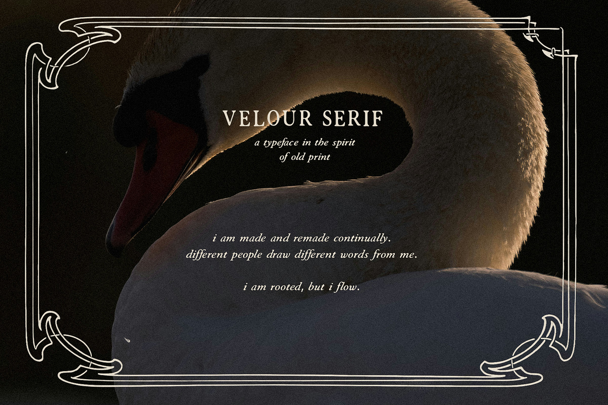 Velour Serif: Elegant Vintage Font, a Sans Serif Font by Mneme (Photo 4 of 7)