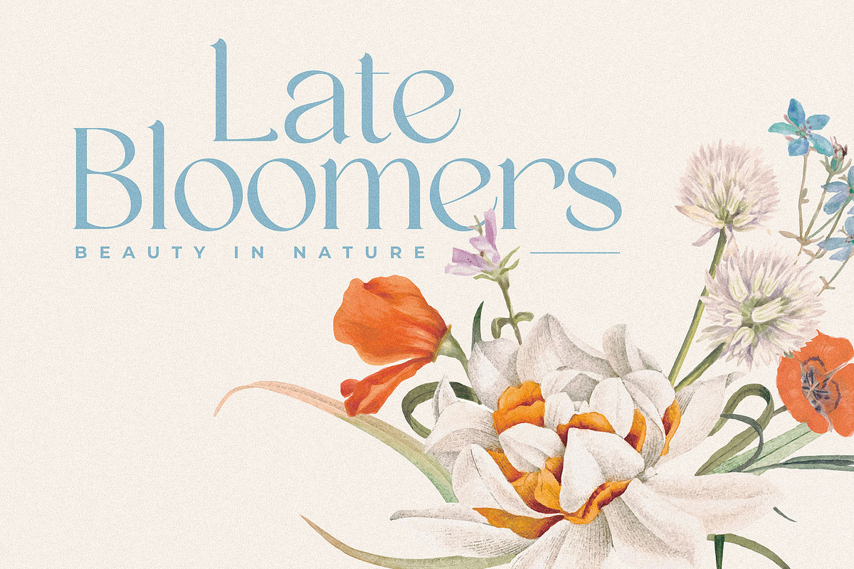 Quinek Elegant Serif, a Serif Font by Brandear Design (Photo 3 of 16)