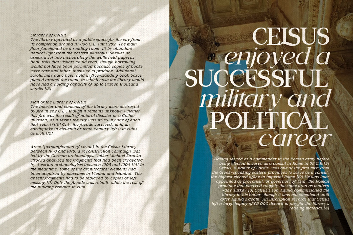 Daleant - Serif Font (10 Fonts), a Serif Font by Maculinc Type (Photo 18 of 18)