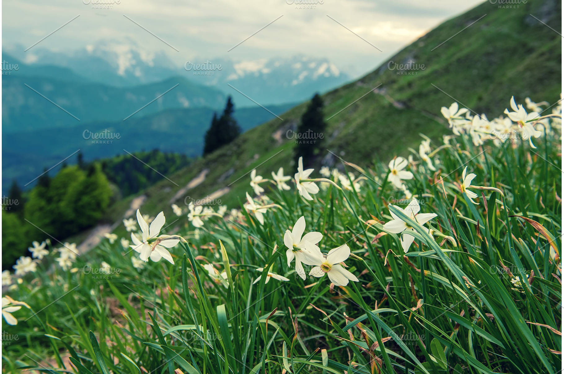 Beautiful mountain landscape with, a Nature Photo by Nature and travel