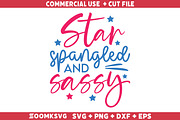 American SVG Bundle, USA SVG Bundle, an Illustration by ZoomkSVG (Thumbnail 37 of 39)
