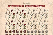 Mysterious Pomegranates Vintage Set, a Decorative Illustration by Ink Stories (Thumbnail 9 of 13)