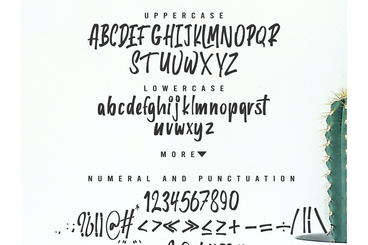 Wonderful Jungle, a Script Font by Inspiratype (Photo 5 of 5)