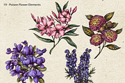 Poison Garden Witchcraft Clipart, an Object Illustration by Belusuab (Thumbnail 6 of 16)