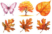 atercolor Woodland Animal PNG, an Illustration by CitraGraphics (Thumbnail 5 of 5)