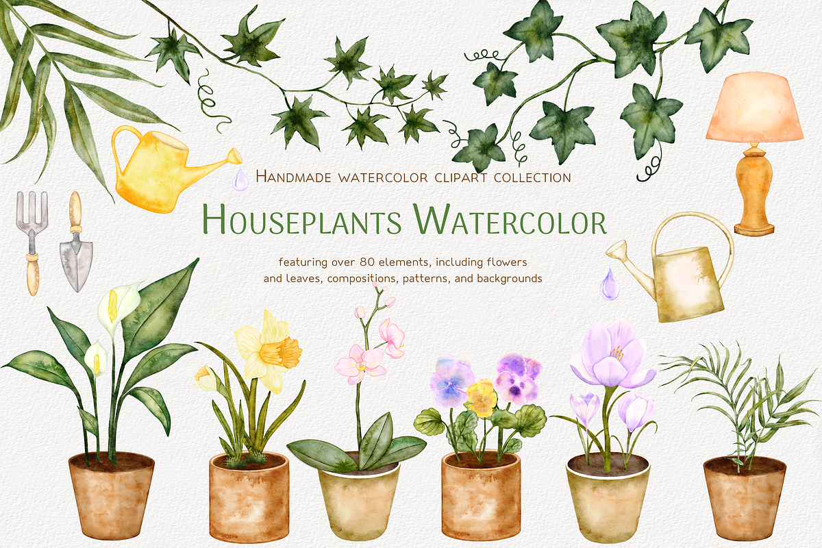 Houseplants Watercolor Collection, a Decorative Illustration by Aurella Art (Photo 1 of 15)