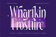 Wharfkin Frostfire Modern Serif Dont, a Serif Font by timelesstype.co (Thumbnail 1 of 20)