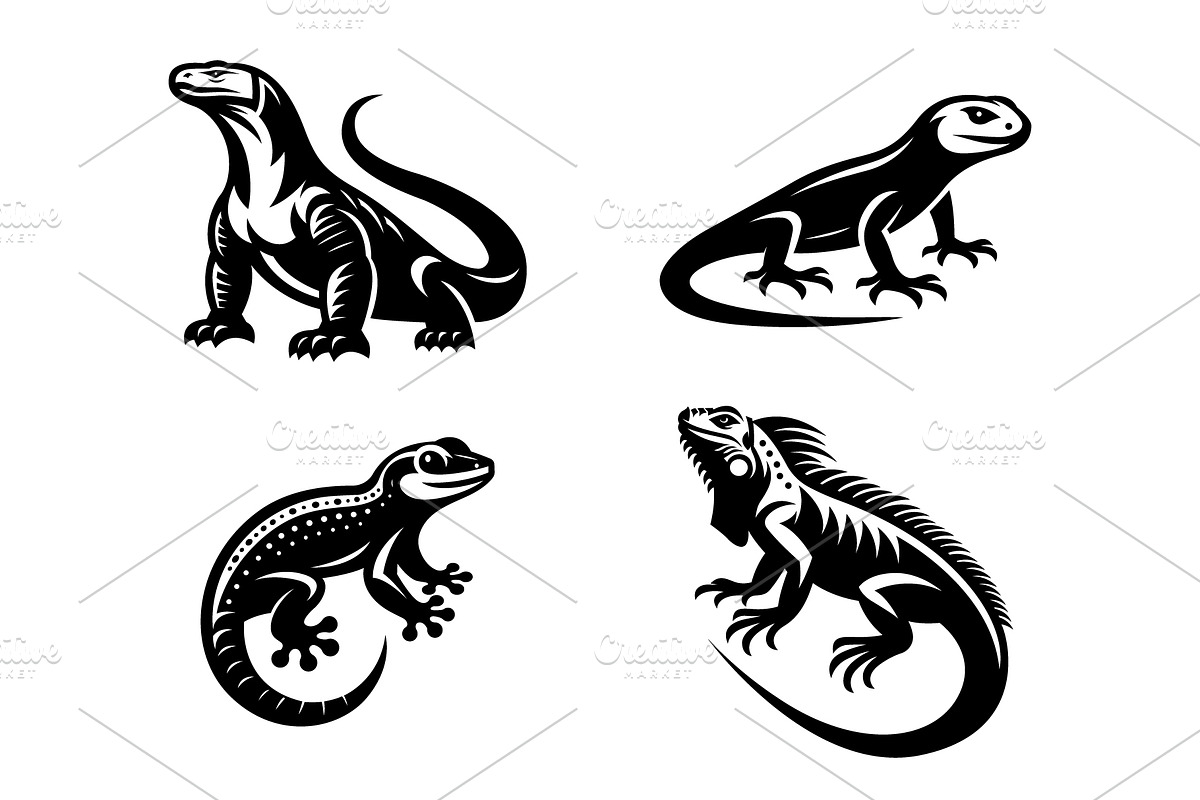 Set of Reptiles, an Animal Illustration by Pixes