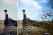 Split Tone Presets Mobile + Desktop, a Plug-in Add-On by PhotoSpirit (Thumbnail 8 of 10)