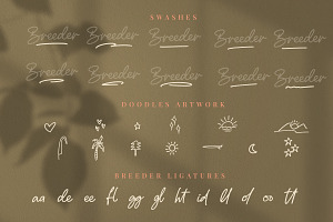 Breeder Font Duo