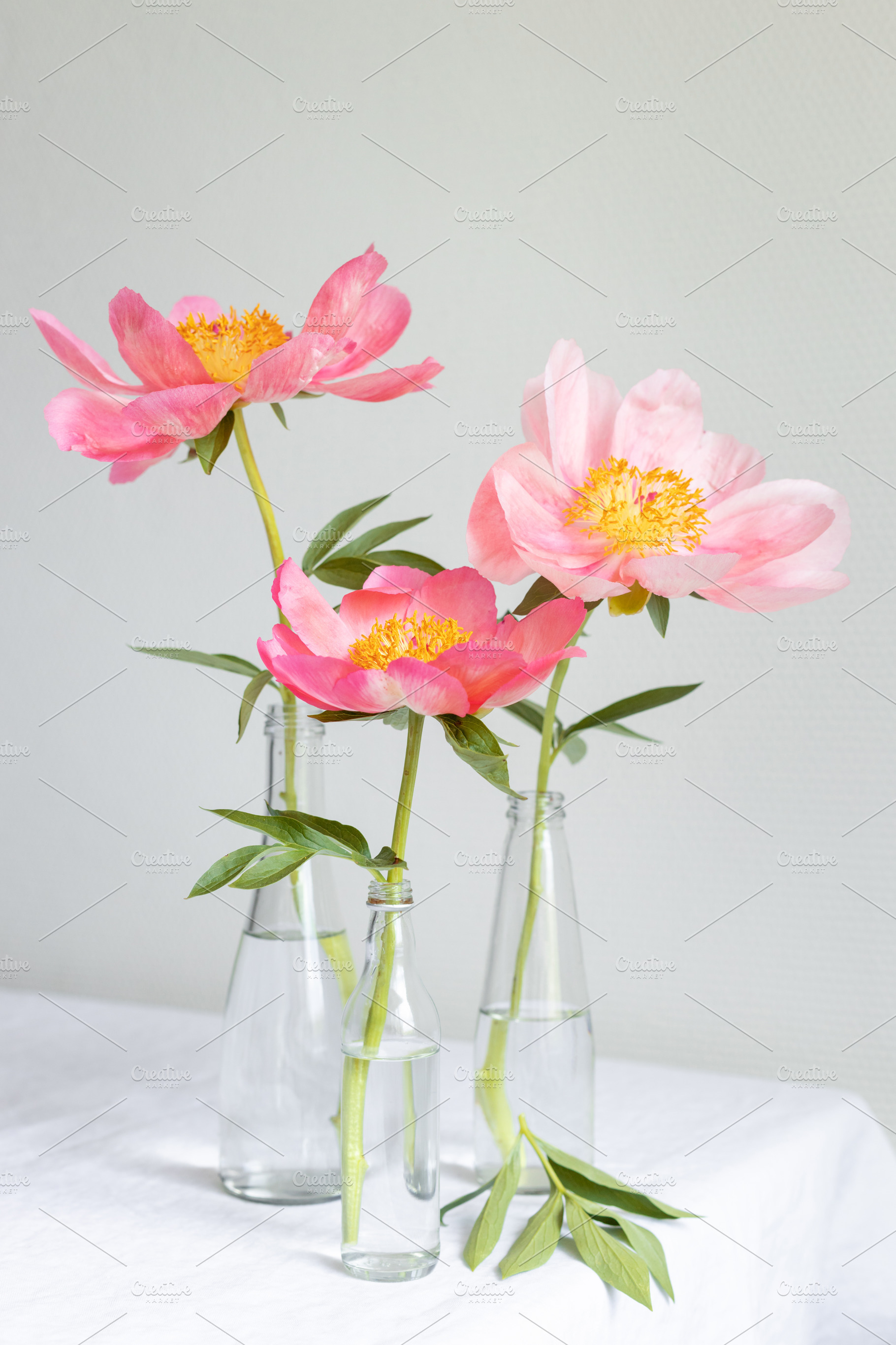Pink royal peony flowers, a Beauty & Fashion Photo by Olga_Z