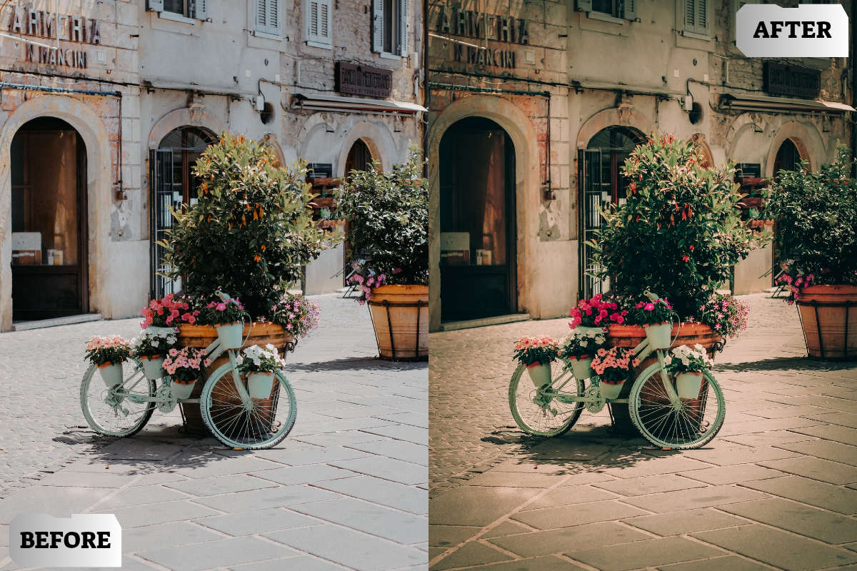 Cinematic Lightroom Presets, a Preset Add-On by ARTSYNO (Photo 4 of 4)