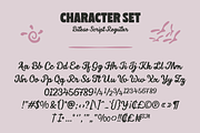 Bileso Script Font, a Script Font by Marvadesign (Thumbnail 8 of 10)
