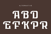 Rister Kollefos, a Serif Font by QR Design Studio (Thumbnail 8 of 10)