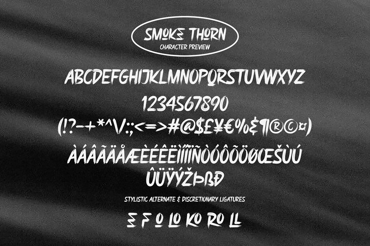 Smoke Thorn | Brush Font, a Handwritten Font by Lemonthe (Photo 7 of 7)