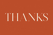 Harfine Modern Serif Font, a Serif Font by Letterena Studios (Thumbnail 15 of 15)
