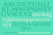 Screwby Wide Family, a Serif Font by Pink Broccoli (Thumbnail 3 of 3)