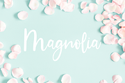 Courtney | Handwritten Script Font, a Script Font by Cate Shaner (Thumbnail 6 of 12)