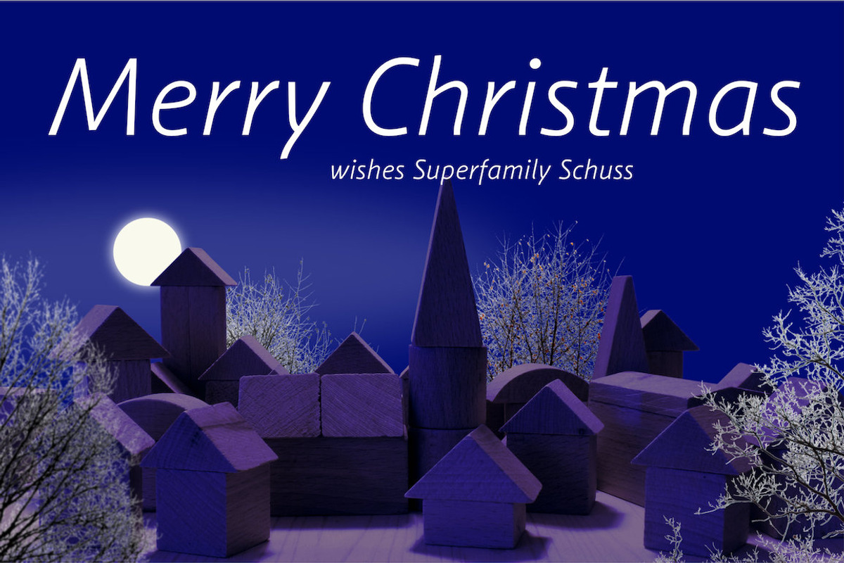 SchussSansPCGLightIta No.06 (1 Font) preview 4