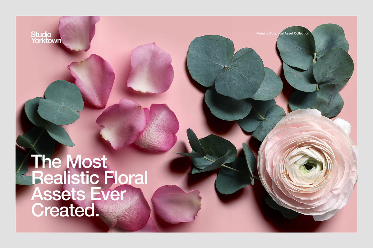 Ikebana Botanical Asset Collection, an Object Graphic by Studio Yorktown (Photo 3 of 15)